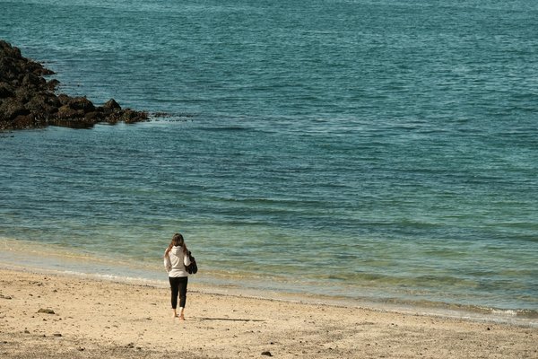 Impact de la Solitude sur le Stress chez les Seniors : Stratégies Efficaces pour Trouver des Solutions